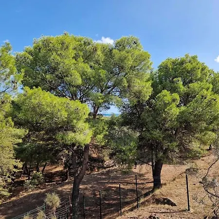 Cap D 6 Personnes Avec Piscine 4* Agde